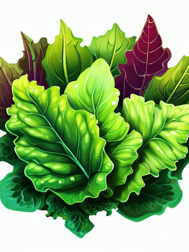 Elevate Your Health with Leafy Greens!