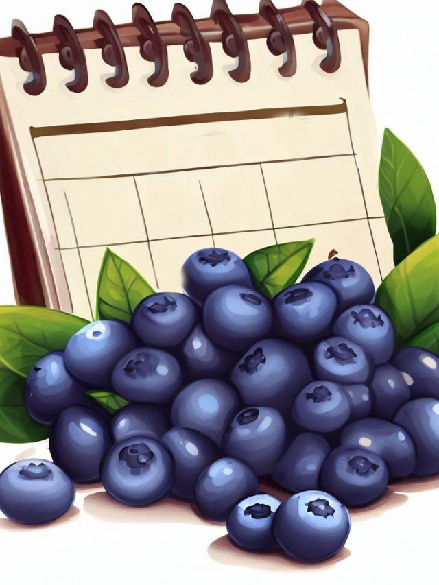 Ready to make blueberries your daily superstar